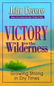 book cover of Victory in the wilderness : understanding God's season of preparation by John Bevere