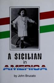 book cover of Sicilian in America by John Brucato