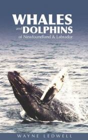book cover of Whales and Dolphins of Newfoundland and Labrador by Wayne Ledwell