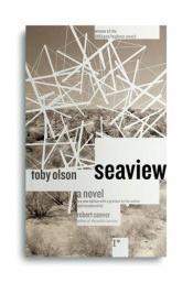 book cover of Seaview by Toby Olson