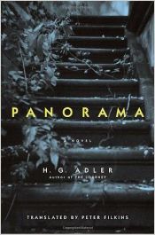 book cover of Panorama by H. G. Adler