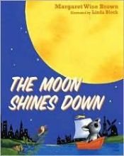 book cover of The Moon Shines Down by Margaret Wise Brown
