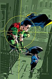 book cover of Robin: To Kill a Bird (Robin) by Bill Willingham