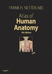 book cover of Atlante di anatomia umana by Frank H. Netter