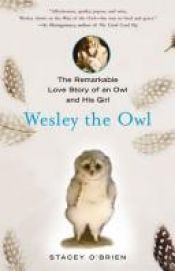 book cover of Wesley: oder Wie eine Eule mein Herz eroberte by Stacey O'Brien