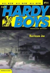 book cover of Hurricane Joe by Franklin W. Dixon