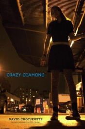 book cover of Crazy Diamond by David Chotjewitz