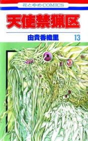 book cover of Angel Sanctuary, V.13 by Kaori Yuki
