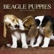 book cover of Beagle Puppies 2007 Mini Calendar by Browntrout