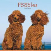 book cover of Poodles, Toy and Miniature 2008 Square Wall Calendar by Browntrout