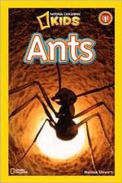 book cover of National Geographic Readers: Ants by Melissa Stewart