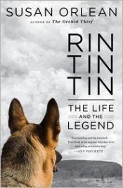 book cover of Rin Tin Tin: The Life and the Legend by Susan Orlean