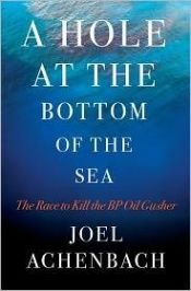book cover of A Hole at the Bottom of the Sea : The Race to Kill the BP Oil Gusher by Joel Achenbach