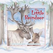 book cover of The Little Reindeer by Caroline Repchuk