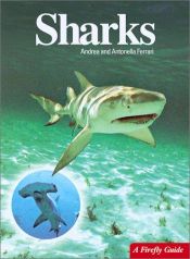 book cover of Sharks (Firefly Guide) by Andrea Ferrari