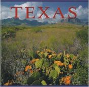 book cover of Texas (America Series - Mini) by Tanya Lloyd Kyi