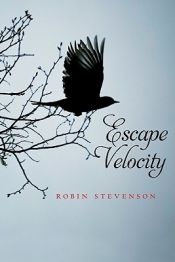book cover of Escape Velocity by Robin Stevenson