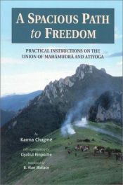 book cover of A Spacious Path to Freedom : Practical Instructions on the Union of Mahamudra and Atiyoga by Karma Chagme