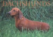book cover of Dachshunds by Browntrout Publishers