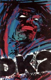 book cover of Dark Knight, Tome 3 : La relève by Frank Miller