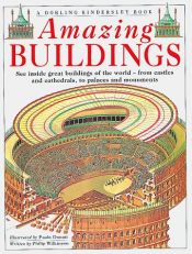 book cover of Amazing buildings by Philip Wilkinson