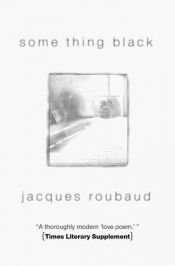 book cover of Quelque chose noir by Jacques Roubaud