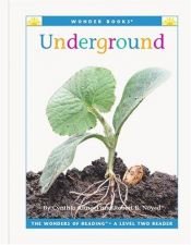 book cover of Underground * by Cynthia Fitterer Klingel