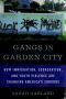 Gangs in Garden City: How Immigration, Segregation, and Youth Violence are Changing America's Suburbs