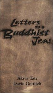 book cover of Letters To A Buddhist Jew by David Gottlieb
