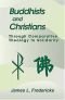 Buddhists and Christians: Through Comparative Theology to Solidarity (Faith Meets Faith Series)