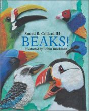 book cover of Beaks! by Sneed Collard