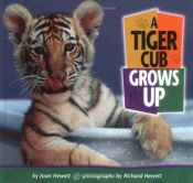 book cover of A Tiger Cub Grows Up (Baby Animals) by Joan Hewett
