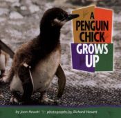 book cover of A Penguin Chick Grows Up (Baby Animals) by Joan Hewett