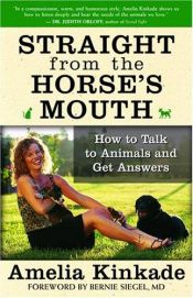 book cover of Straight from the horse's mouth by Amelia Kinkade