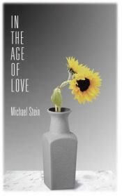 book cover of In the Age of Love by Michael Stein