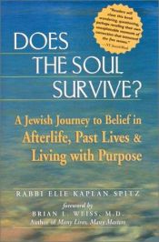 book cover of Does the Soul Survive?: A Jewish Journey to Belief in Afterlife, Past Lives & Living With Purpose by Elie Kaplan Spitz