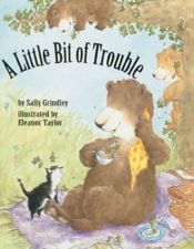 book cover of A Little Bit of Trouble by Sally Grindley