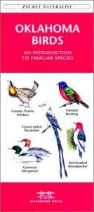 book cover of Oklahoma Birds by James Kavanagh