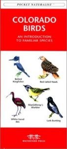 book cover of Colorado Birds: An Introduction to Familiar Species (A Pocket Naturalist Guide) by James Kavanagh