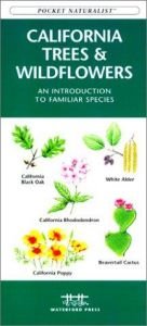 book cover of California Trees & Wildflowers: An Introduction to Familiar Species (Pocket Naturalist Series) by James Kavanagh