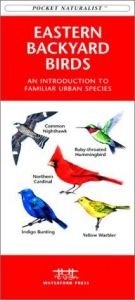 book cover of Eastern Backyard Birds: An Introduction to Familiar Urban Species (Regional Nature Guides) by James Kavanagh