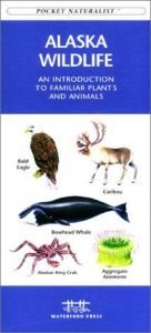 book cover of Alaska Wildlife: An Introduction to Familiar Plants and Animals (Pocket Naturalist - Waterford Press) by James Kavanagh