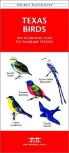 book cover of Texas Birds by James Kavanagh