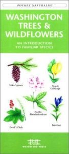 book cover of Washington State Trees & Wildflowers: An Introduction to Familiar Species (State Nature Guides) by James Kavanagh