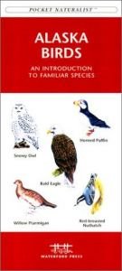 book cover of Alaska Birds (Pocket Naturalist - Waterford Press) by James Kavanagh