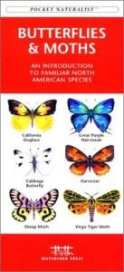 book cover of Butterflies & Moths of North America by James Kavanagh