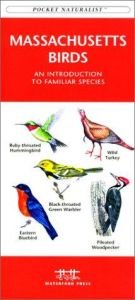 book cover of Massachusetts Birds by James Kavanagh