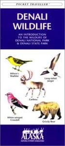 book cover of Denali Wildlife: An Introduction to the Wildlife of Denali National Park & Denali State Park (Ecotourism: Parks & Sanctuaries Guides) by James Kavanagh