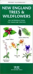 book cover of New England Trees & Wildflowers: An Introduction to Familiar Species by James Kavanagh