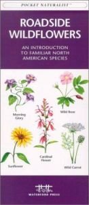 book cover of Roadside Wildflowers: An Introduction to Familiar North American Species by James Kavanagh